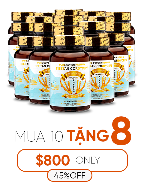 SUPER PREMIUM CORDYCEPS PURE 1,000MG (60V.) プレミアム冬虫夏草 純粋