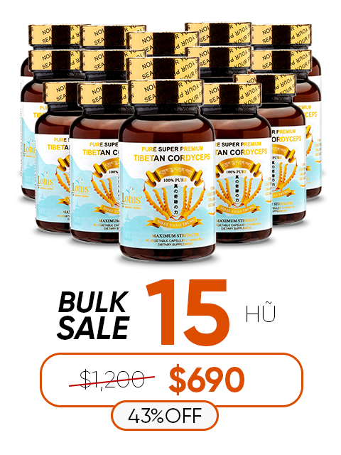 SUPER PREMIUM CORDYCEPS PURE 1,000MG (60V.) プレミアム冬虫夏草 純粋