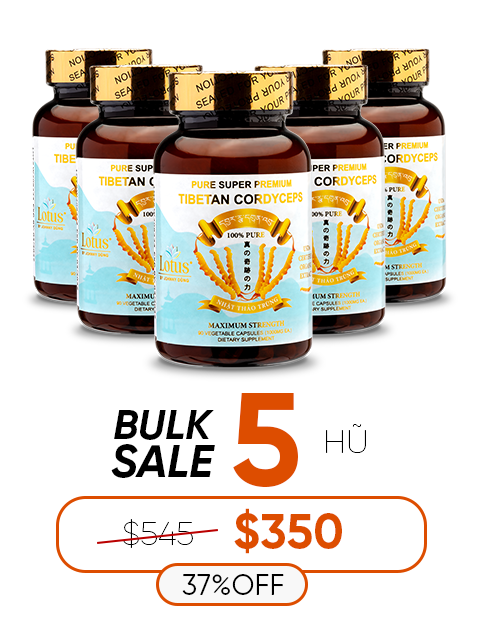 SUPER PREMIUM CORDYCEPS PURE 1,000MG - 90 VIÊN