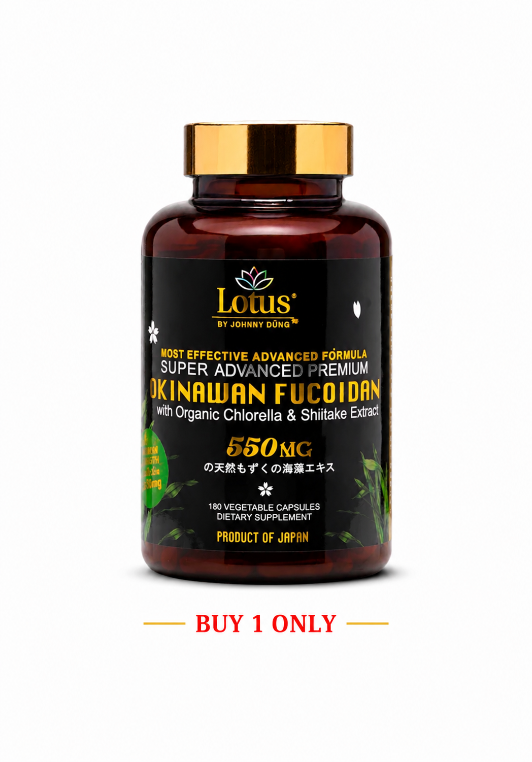 SUPER ADVANCED FUCOIDAN SHIITAKE 550MG - 180 CAPS スーパー・フコイダン 椎茸