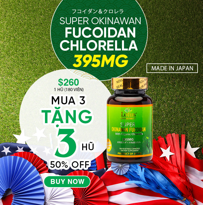 SUPER OKINAWAN FUCOIDAN CHLORELLA 395MG - 180 CAPS フコイダン＆クロレラ