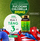 SUPER OKINAWAN FUCOIDAN CHLORELLA 395MG - 180 CAPS フコイダン＆クロレラ