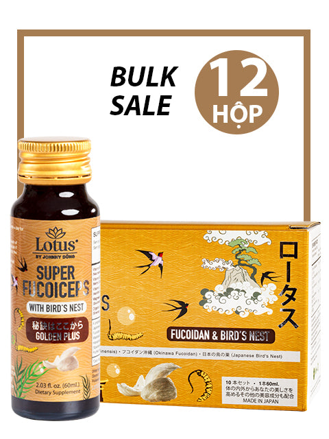 BULK SALE 12 BOXES - NƯỚC UỐNG ĐÔNG TRÙNG HẠ THẢO TỔ YẾN 3,000MG