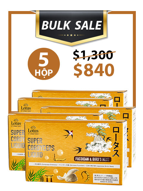 BULK SALE 5 BOXES - NƯỚC UỐNG ĐÔNG TRÙNG HẠ THẢO TỔ YẾN 3,000MG