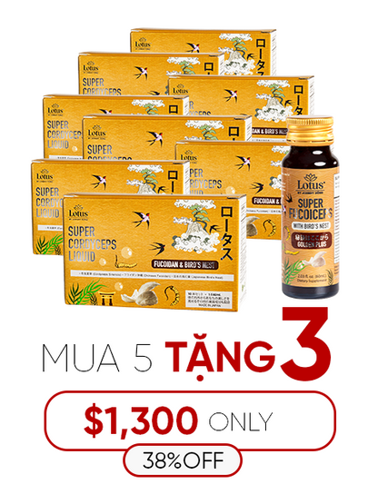 NƯỚC UỐNG ĐÔNG TRÙNG TỔ YẾN FUCOIDAN NHẬT BẢN  冬虫夏草フコイダン＆燕の巣