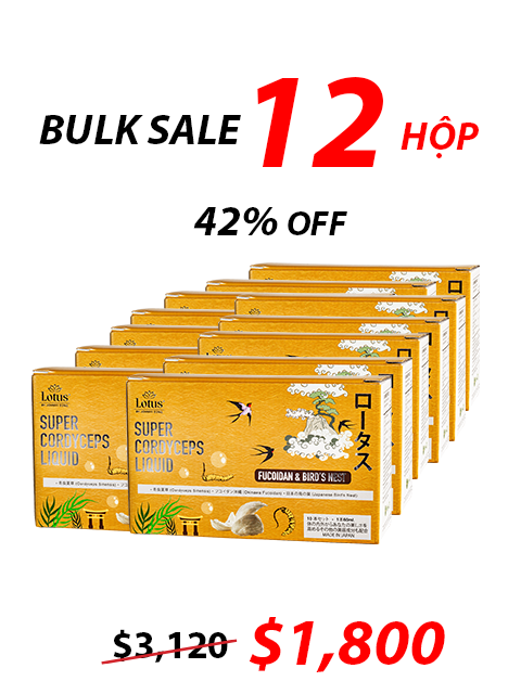 NHẬT BẢN NƯỚC UỐNG ĐÔNG TRÙNG FUCOIDAN & TỔ YẾN 冬虫夏草フコイダン＆燕の巣