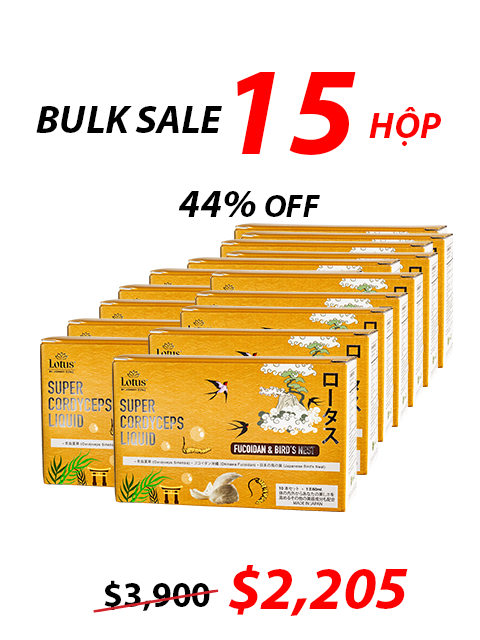 NHẬT BẢN NƯỚC UỐNG ĐÔNG TRÙNG FUCOIDAN & TỔ YẾN 冬虫夏草フコイダン＆燕の巣