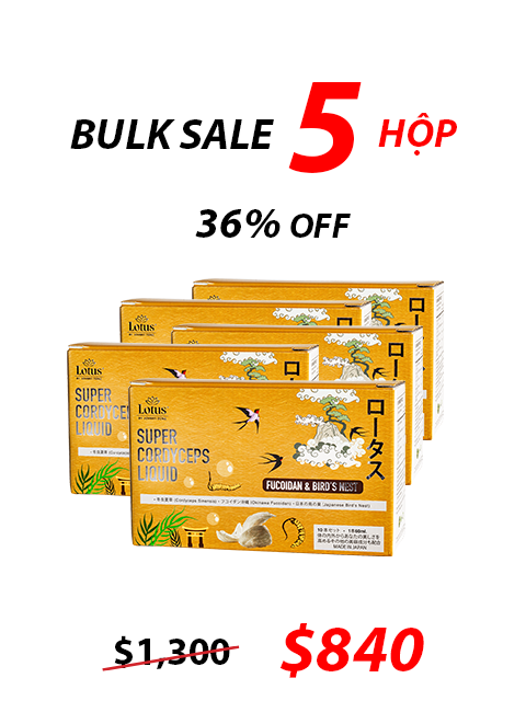 NHẬT BẢN NƯỚC UỐNG ĐÔNG TRÙNG FUCOIDAN & TỔ YẾN 冬虫夏草フコイダン＆燕の巣