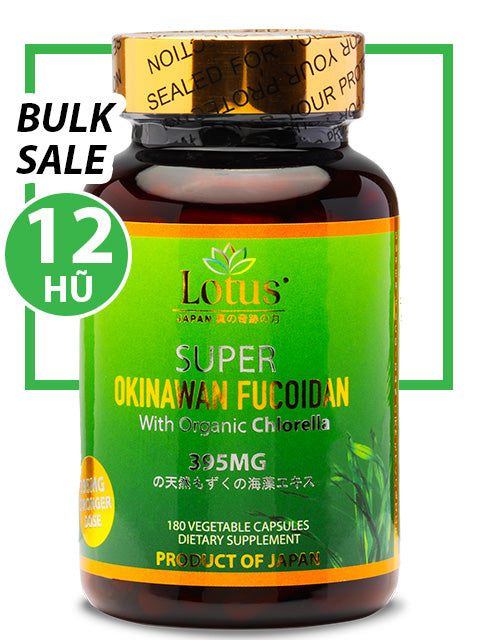BULK SALE SAVING 12 HŨ - OKINAWA SUPER FUCOIDAN 395MG (180 CAPS)