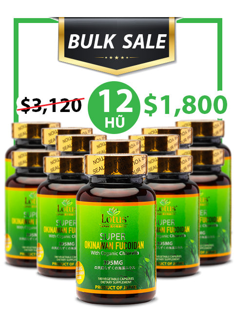 BULK SALE SAVING 12 HŨ - OKINAWA SUPER FUCOIDAN 395MG (180 CAPS)