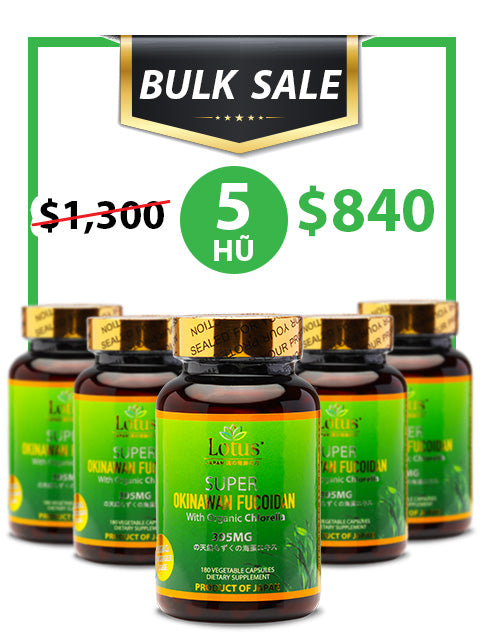 BULK SALE SAVING 5 HŨ - OKINAWA SUPER FUCOIDAN 395MG (180 CAPS)