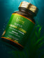 SUPER OKINAWAN FUCOIDAN CHLORELLA 395MG - 180 CAPS