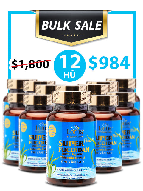 BULK SALE SAVING 12 HŨ- OKINAWA FUCOIDAN 450MG (100 CAPS)
