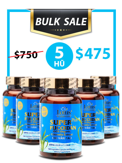 BULK SALE SAVING 5 HŨ- OKINAWA FUCOIDAN 450MG (100 CAPS)