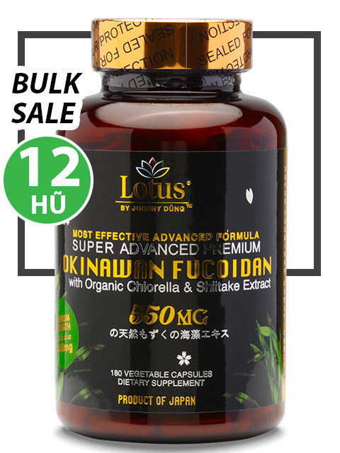 BULK SALE 12 HŨ - SUPER ADVANCED FUCOIDAN 550MG SHIITAKE