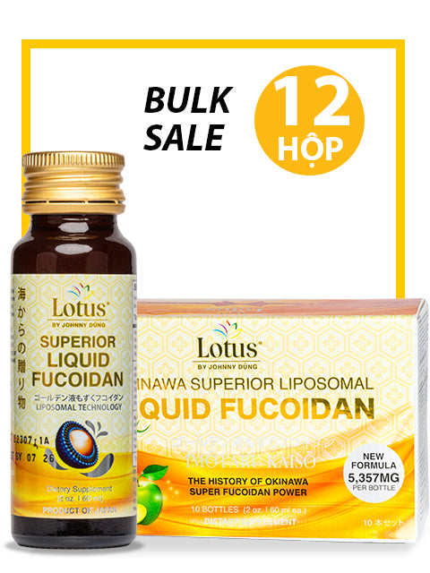 BULK SALE SAVING 12 HỘP - SUPERIOR LIPOSOMAL FUCOIDAN LIQUID 5,357MG