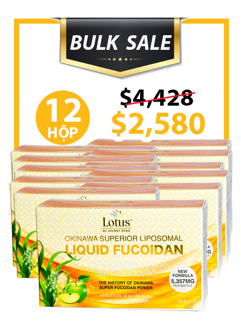 BULK SALE SAVING 12 HỘP - SUPERIOR LIPOSOMAL FUCOIDAN LIQUID 5,357MG