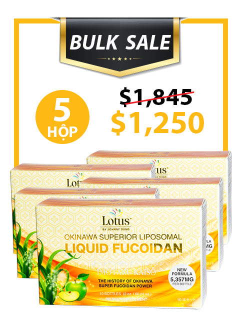 BULK SALE SAVING 5 HỘP - SUPERIOR LIPOSOMAL FUCOIDAN LIQUID 5,357MG