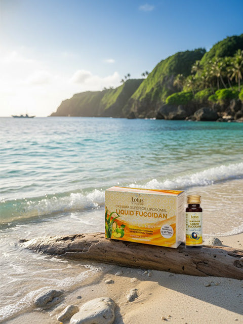 SUPERIOR ADVANCED LIPOSOMAL FUCOIDAN DRINK 5,357MG 海洋からの再生力