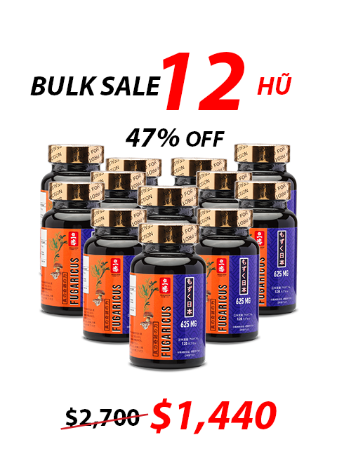 SUPER FUCOIDAN AGARICUS 625MG (120V) 先進処方のプレミアムケア