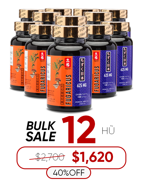 SUPER FUCOIDAN AGARICUS 625MG (120V) 先進処方のプレミアムケア