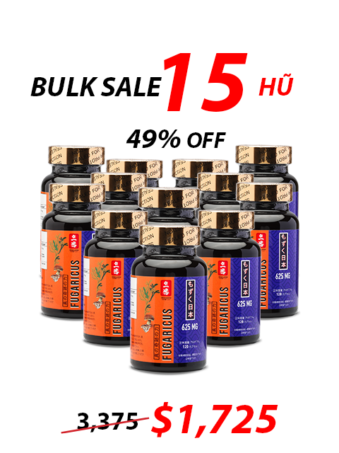 SUPER FUCOIDAN AGARICUS 625MG (120V) 先進処方のプレミアムケア