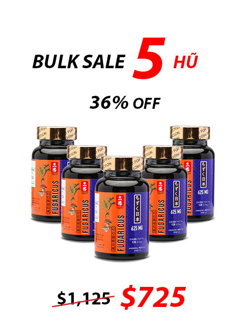 SUPER FUCOIDAN AGARICUS 625MG (120V) 先進処方のプレミアムケア