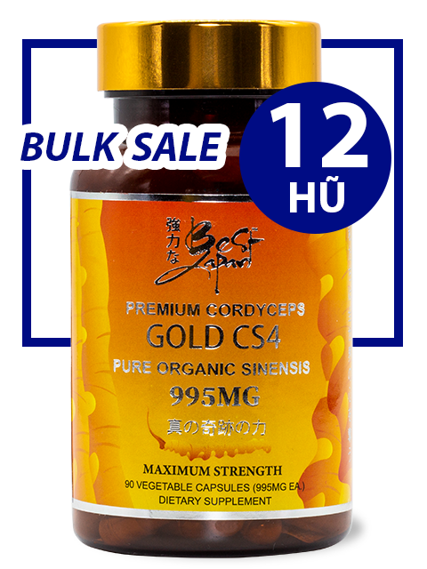 BULK SALE SAVING 12 HŨ - SUPER CORDYCEPS GOLD CS4