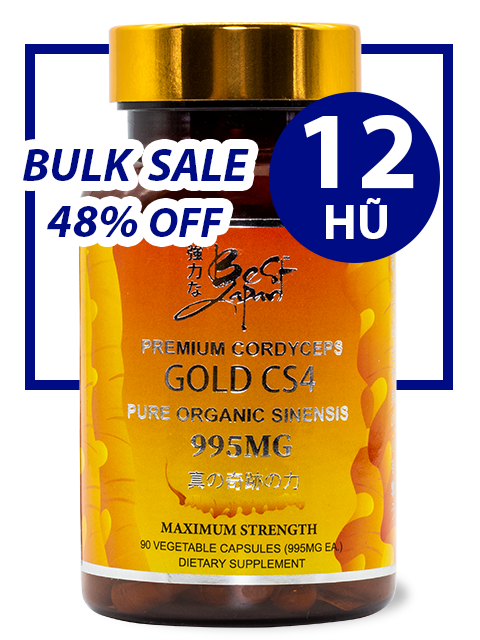 BULK SALE SAVING 12 HŨ - SUPER CORDYCEPS GOLD CS4