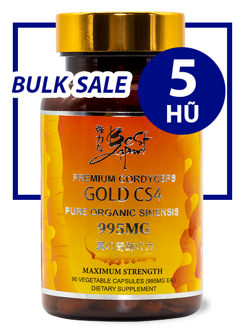 BULK SALE SAVING 5 HŨ - SUPER CORDYCEPS GOLD CS4