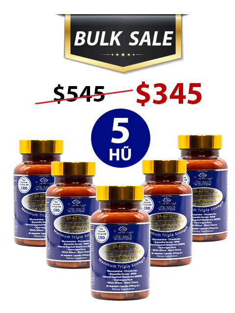 BULK SALE SAVING 5 HŨ - JOINT SUPPORT GOUT RELIEF