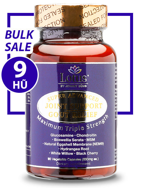 BULK SALE SAVING 9 HŨ - JOINT SUPPORT GOUT RELIEF CHỐNG ĐAU NHỨC XƯƠNG KHỚP