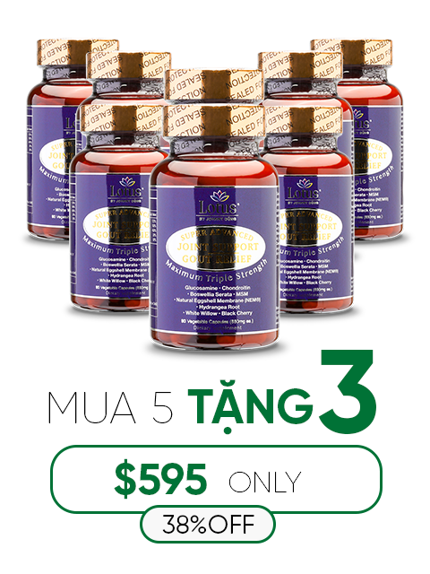 SUPER ADVANCED JOINT GOUT RELIEF - CHỐNG ĐAU NHỨC XƯƠNG KHỚP 一歩ごとの自由