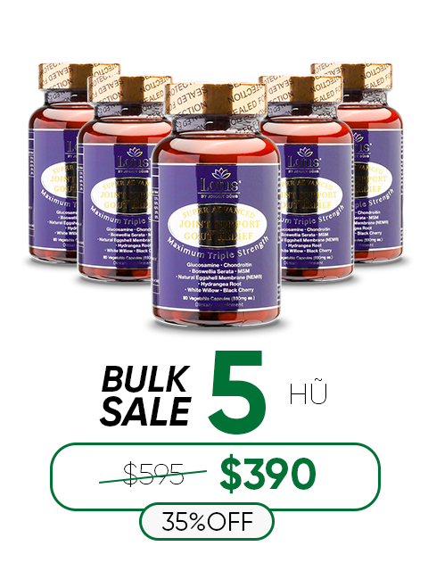 SUPER ADVANCED JOINT GOUT RELIEF - CHỐNG ĐAU NHỨC XƯƠNG KHỚP 一歩ごとの自由
