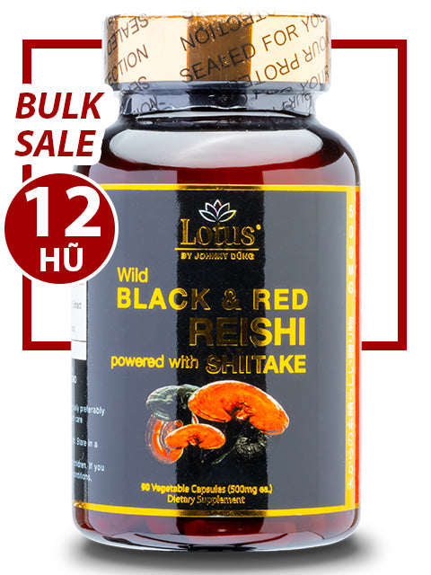 BULK SALE SAVING 12 HŨ - SUPER BLACK RED REISHI