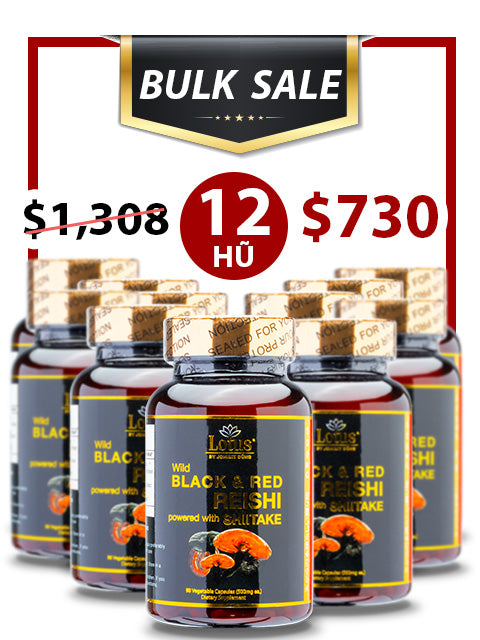BULK SALE SAVING 12 HŨ - SUPER BLACK RED REISHI