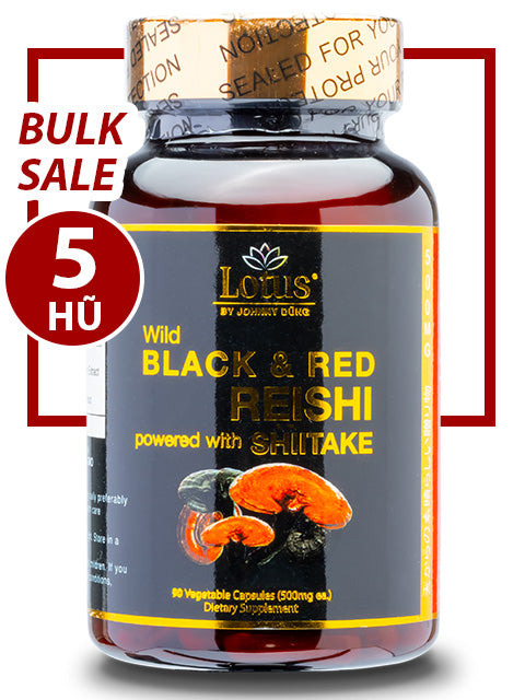 BULK SALE SAVING 5 HŨ - SUPER BLACK RED REISHI LINH CHI ĐỎ ĐEN NHẬT BẢN