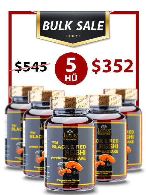 BULK SALE SAVING 5 HŨ - SUPER BLACK RED REISHI LINH CHI ĐỎ ĐEN NHẬT BẢN