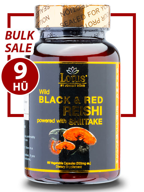BULK SALE SAVING 9 HŨ - SUPER BLACK RED REISHI LINH CHI ĐỎ ĐEN NHẬT BẢN