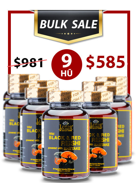 BULK SALE SAVING 9 HŨ - SUPER BLACK RED REISHI LINH CHI ĐỎ ĐEN NHẬT BẢN
