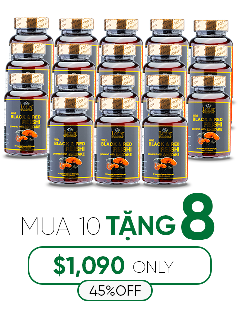 SUPER BLACK RED REISHI SHIITAKE - NẤM LINH CHI ĐỎ ĐEN 奇跡の赤黒霊芝