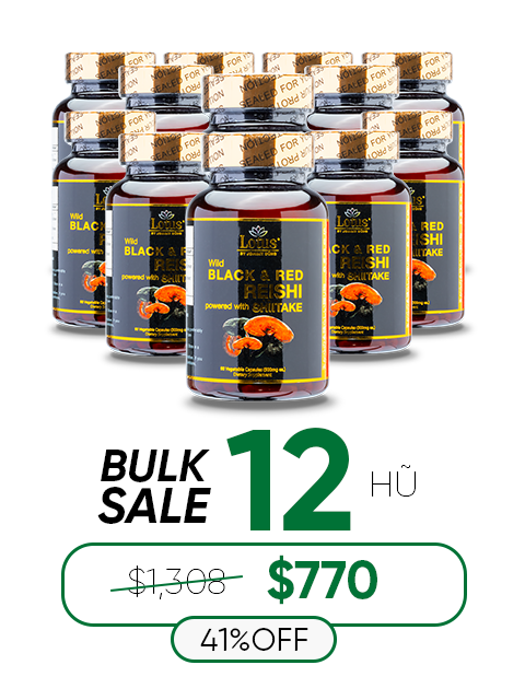 SUPER BLACK RED REISHI SHIITAKE - NẤM LINH CHI ĐỎ ĐEN 奇跡の赤黒霊芝