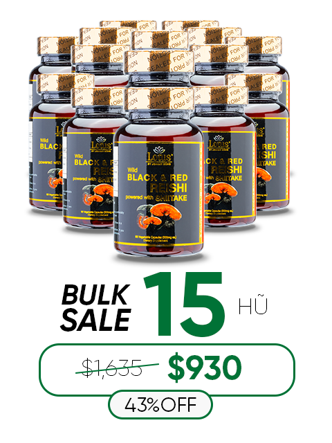 SUPER BLACK RED REISHI SHIITAKE - NẤM LINH CHI ĐỎ ĐEN 奇跡の赤黒霊芝