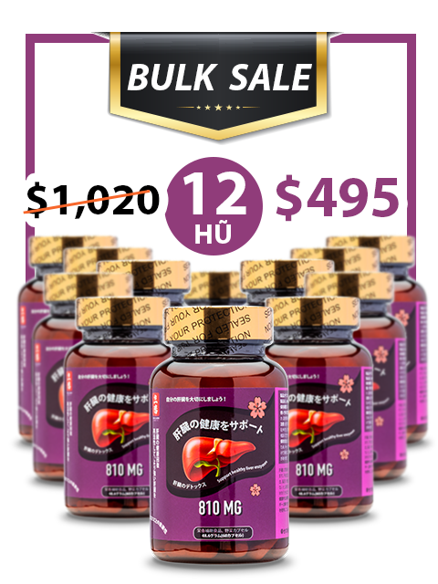 BULK SALE SAVING 12 HŨ - DƯỢC THẢO LIVER SUPPORT YỂM TRỢ LÁ GAN 810MG