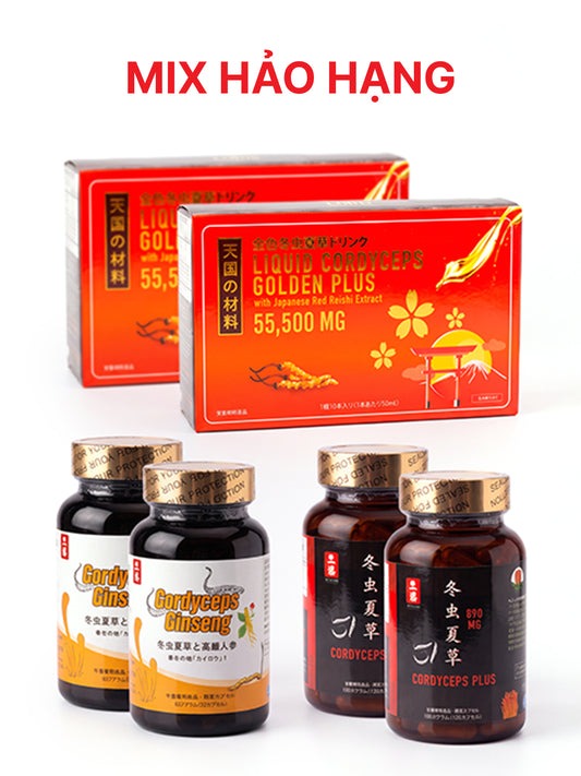 COMBO MIX 3 LOẠI ĐÔNG TRÙNG HẠ THẢO HẢO HẠNG ワールドベスト冬虫夏草
