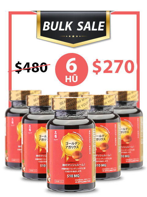 BULK SALE SAVING 6 HŨ - NẤM VÀNG THÁI DƯƠNG NHẬT BẢN 510MG