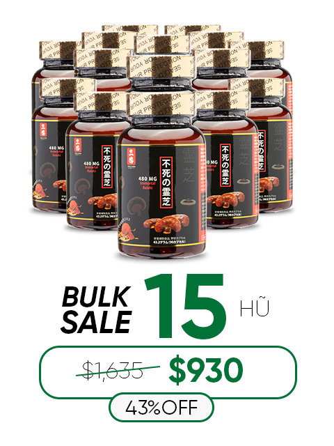 JAPANESE NANO RED REISHI - THUẦN LINH CHI ĐỎ 480MG パワフル赤霊芝