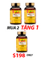 OKINAWA FOUR SEASON TURMERIC -  NGHỆ BỐN MÙA OKINAWA 沖縄の四季ウコン