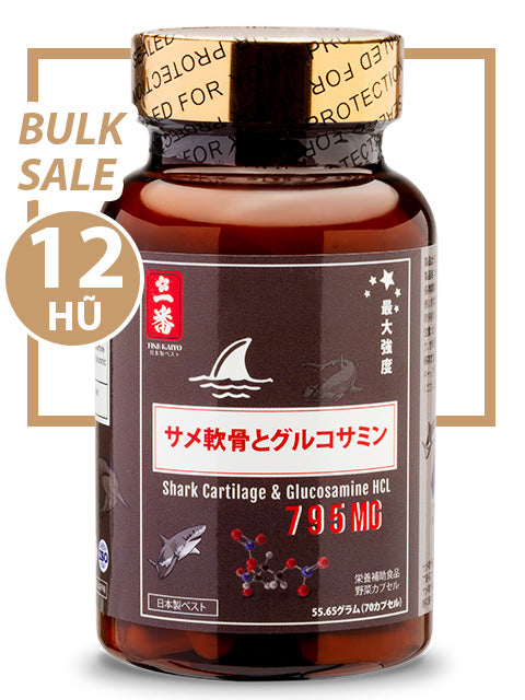 BULK SALE SAVING 12 HŨ - SỤN CÁ MẬP SHARK GLUCOSAMINE CHO XƯƠNG KHỚP
