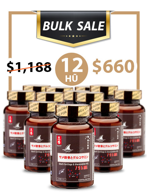 BULK SALE SAVING 12 HŨ - SỤN CÁ MẬP SHARK GLUCOSAMINE CHO XƯƠNG KHỚP